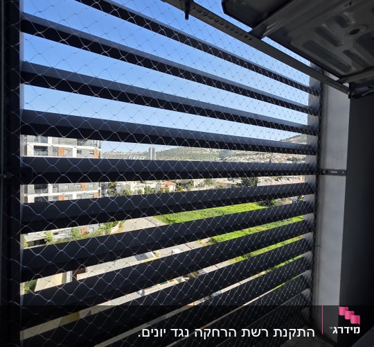 רשת יונים מותקנת על חלון למניעת כניסת יונים